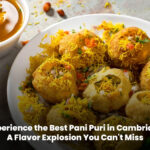 Best Pani Puri in Cambridge – Enjoy 6 PCS of crispy puris filled with flavorful pani at Voodoo Wings.