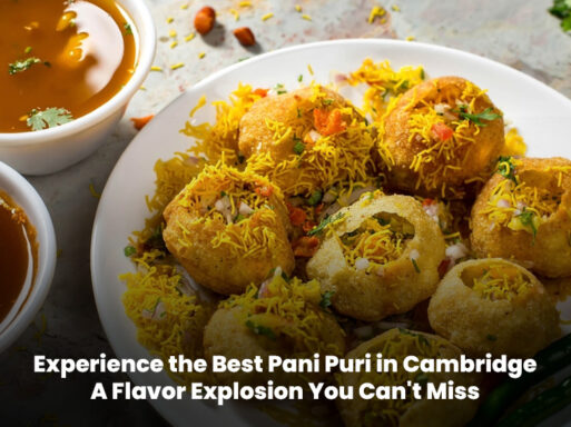 Best Pani Puri in Cambridge – Enjoy 6 PCS of crispy puris filled with flavorful pani at Voodoo Wings.