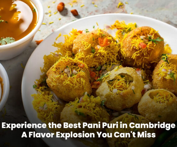 Best Pani Puri in Cambridge – Enjoy 6 PCS of crispy puris filled with flavorful pani at Voodoo Wings.